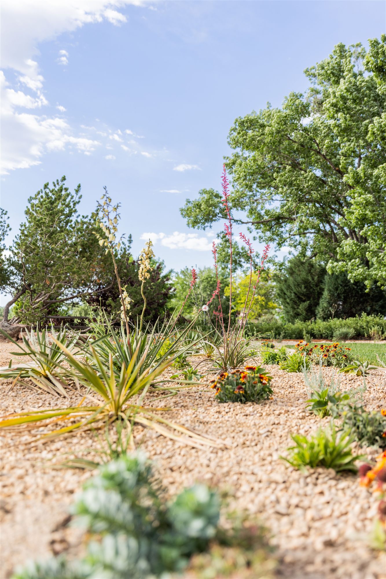 Detailed planting