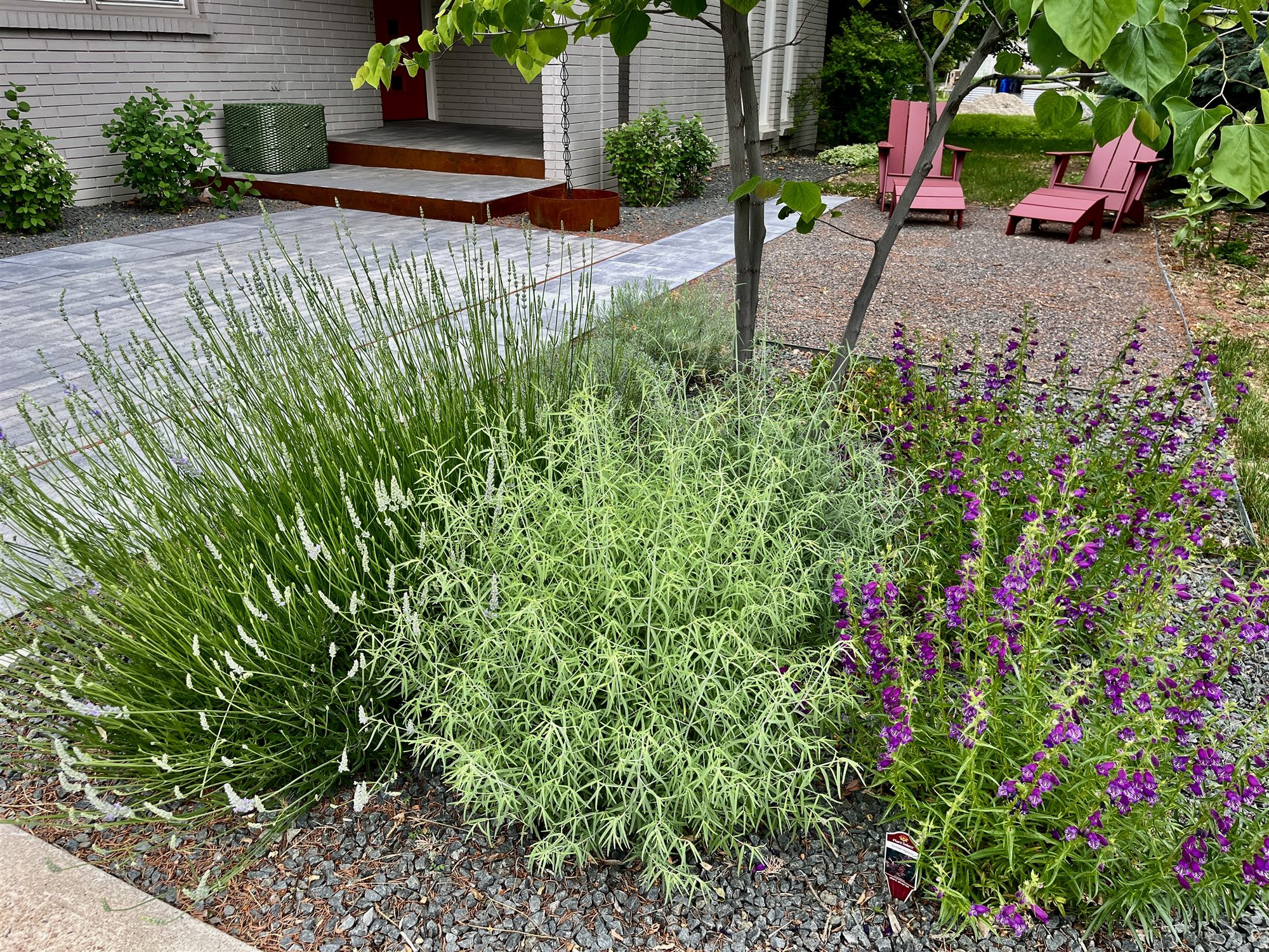Planting detail