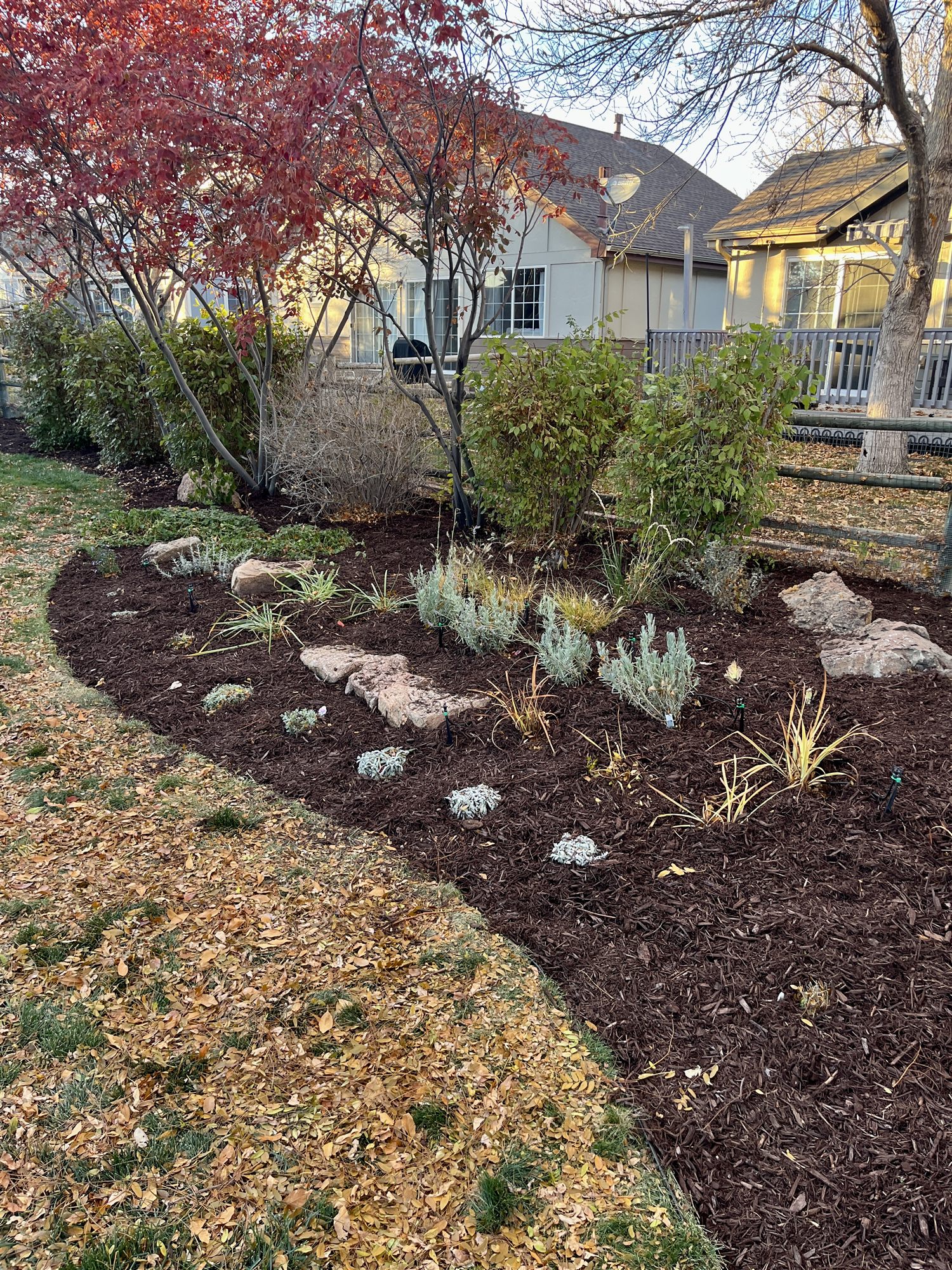 Plant selection